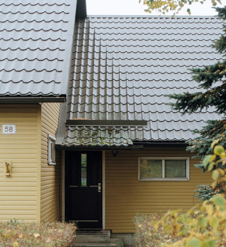 tin and steel roof